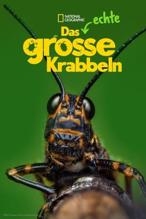 Image Das echte große Krabbeln