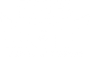 100% Wolf: The Legend of the Moonstone