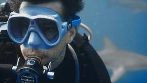 Interview with a Shark