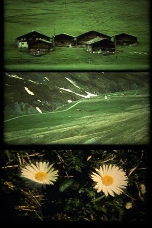 Spaziergänge