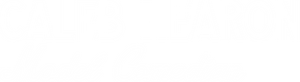 Caleb Hearon: cómico modelo — Logos 1