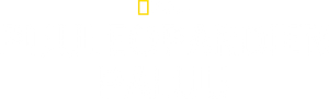 O Resgate dos Leopardos — Logos 5