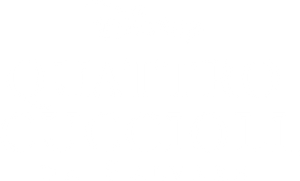 4 cuccioli da salvare