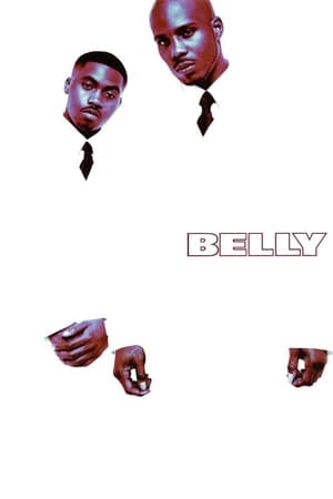 Image Belly