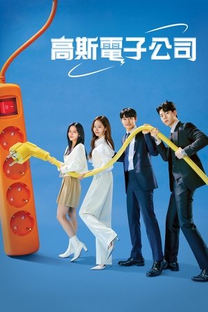 Image 高斯电子公司