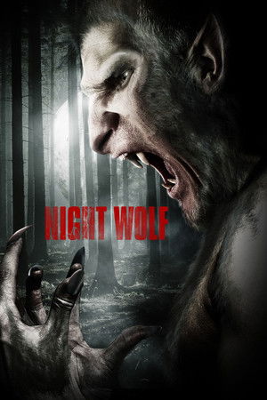 Image Night Wolf