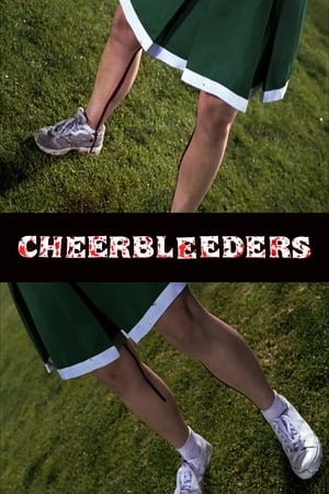 Poster Cheerbleeders 2008