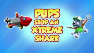 PAW Patrol Pups Stop an Xtreme Shark