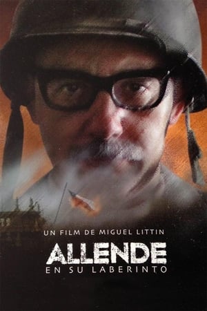 Poster Альенде в своем лабиринте 2014