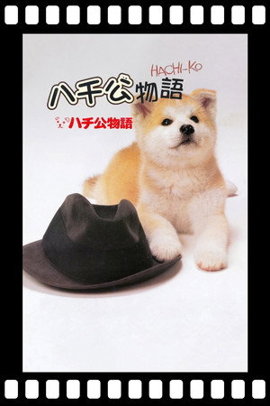 Hachiko 19