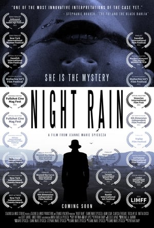Poster Night Rain 2024