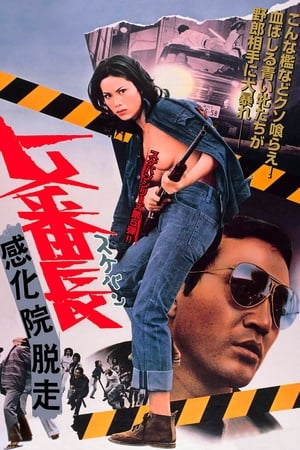 Poster 女番長　感化院脱走 1973