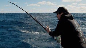 Wicked Tuna: Outer Banks Showdown Perfect Storm