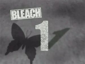 Bleach: 1×1