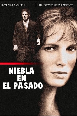Poster Niebla en el pasado 1992