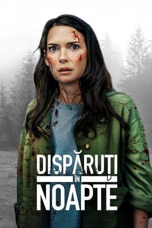Image Dispăruți în noapte