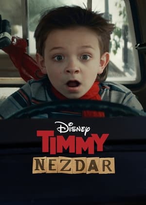 Poster Timmy Nezdar 2020