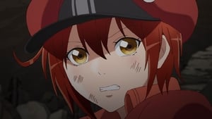 Cells at Work!: Season 1 Episode 12 –