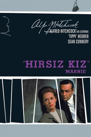 Poster Hırsız Kız 1964