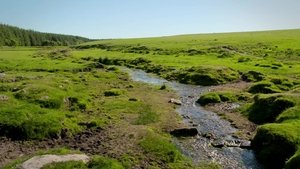 Bodmin to Totnes