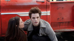 Vampires Suck
