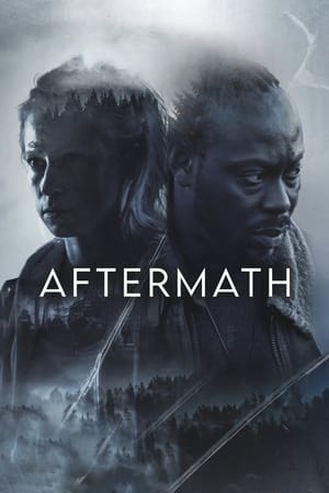 Poster Aftermath (2024)