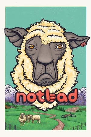 Poster NotBad (2013)