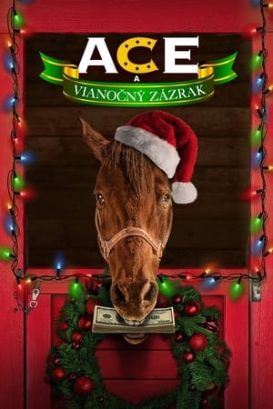 Poster Ace a vianočný zázrak 2021