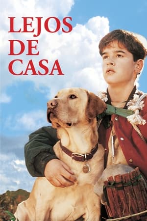 Poster Lejos de casa 1995