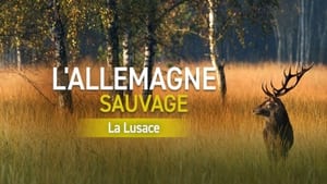 L'Allemagne sauvage : La Lusace