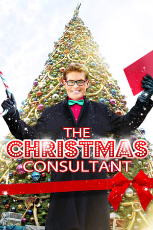 The Christmas Consultant-David Hasselhoff