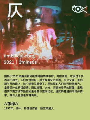 umbilical cord