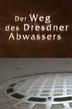 Der Weg des Dresdner Abwassers