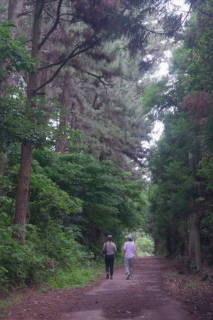 The Time of Jeju (2025)