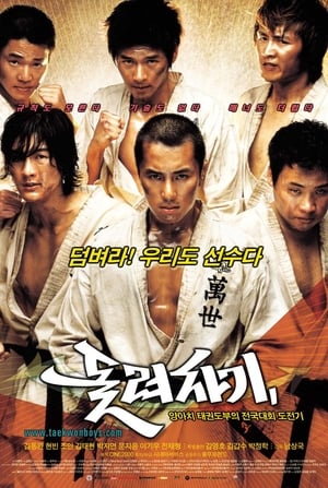 Poster 돌려차기 2004