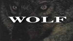 Predators of the Wild: Wolf film complet