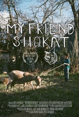 Poster My Friend Shokat 2018