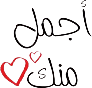 The Beauty Inside — Logos 2