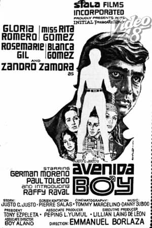 Poster Avenida Boy 1971