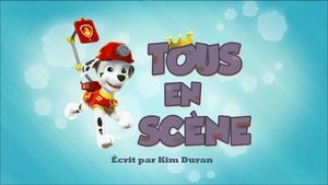 Paw Patrol Helfer auf vier Pfoten: 2×11