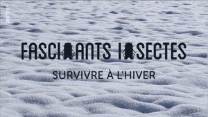 Survivre à l‘hiver
