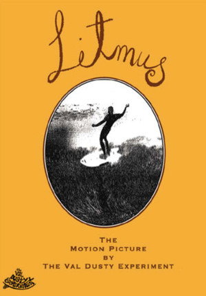 Litmus: A Surfing Odyssey 2