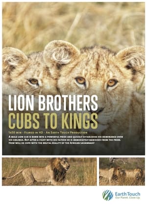 Poster Lion Brothers: Cubs to Kings (2019)