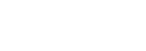 Dragon Ball Super: Super Hero