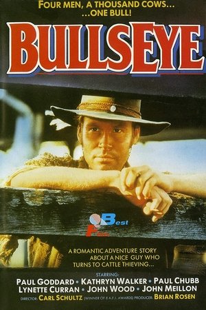 Bullseye poster