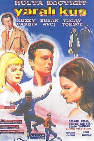 Poster Yaralı Kuş (1967)