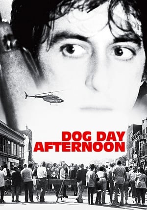 Poster Psie popoludnie 1975