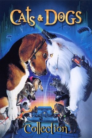 Cats & Dogs Collection poster Cats & Dogs Collection