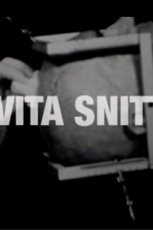 Det Vita Snittet