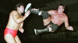 Dark Side of the Ring Terry Gordy: Final Flight of the Freebird